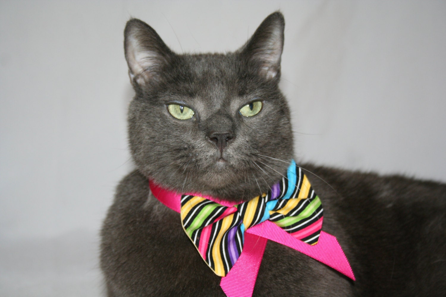Rainbow Stripe Bow