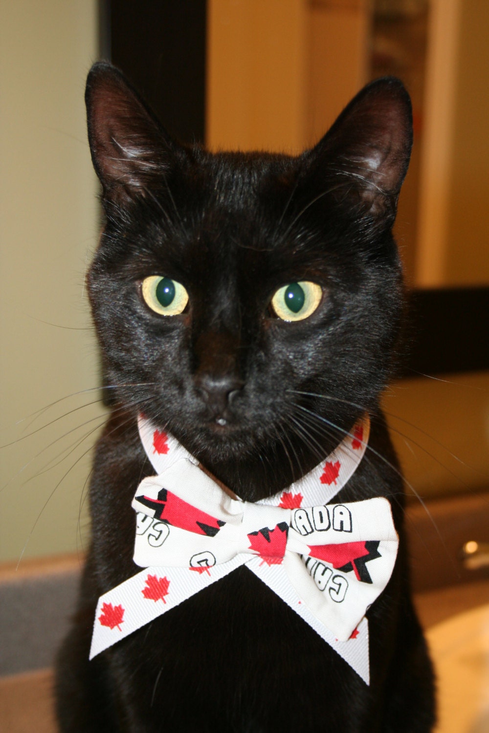 Canada Leaf Bow Tie