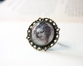 Leonardo da Vinci Study for the Head of Leda - Handmade Vintage Cameo Ring