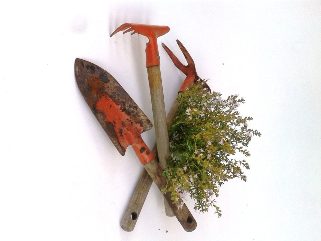 French Garden Tools Small Short Handled Trowel / Spade, Rake, Weeder Red Metal Wooden Handles / Hoe, Claw, Shovel