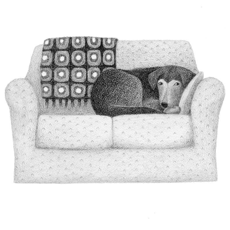 Custom Pet Portrait - Graphite Pencil Drawing