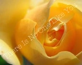 SALE Yellow Flower 8x10 or 8x8 Print