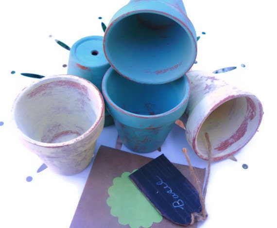 Petite Herb Garden in Distressed Terracotta Pots,Sweet Italian Basil, Herb Planter, Spring Garden, Painted Terracotta, Plants and Edibles