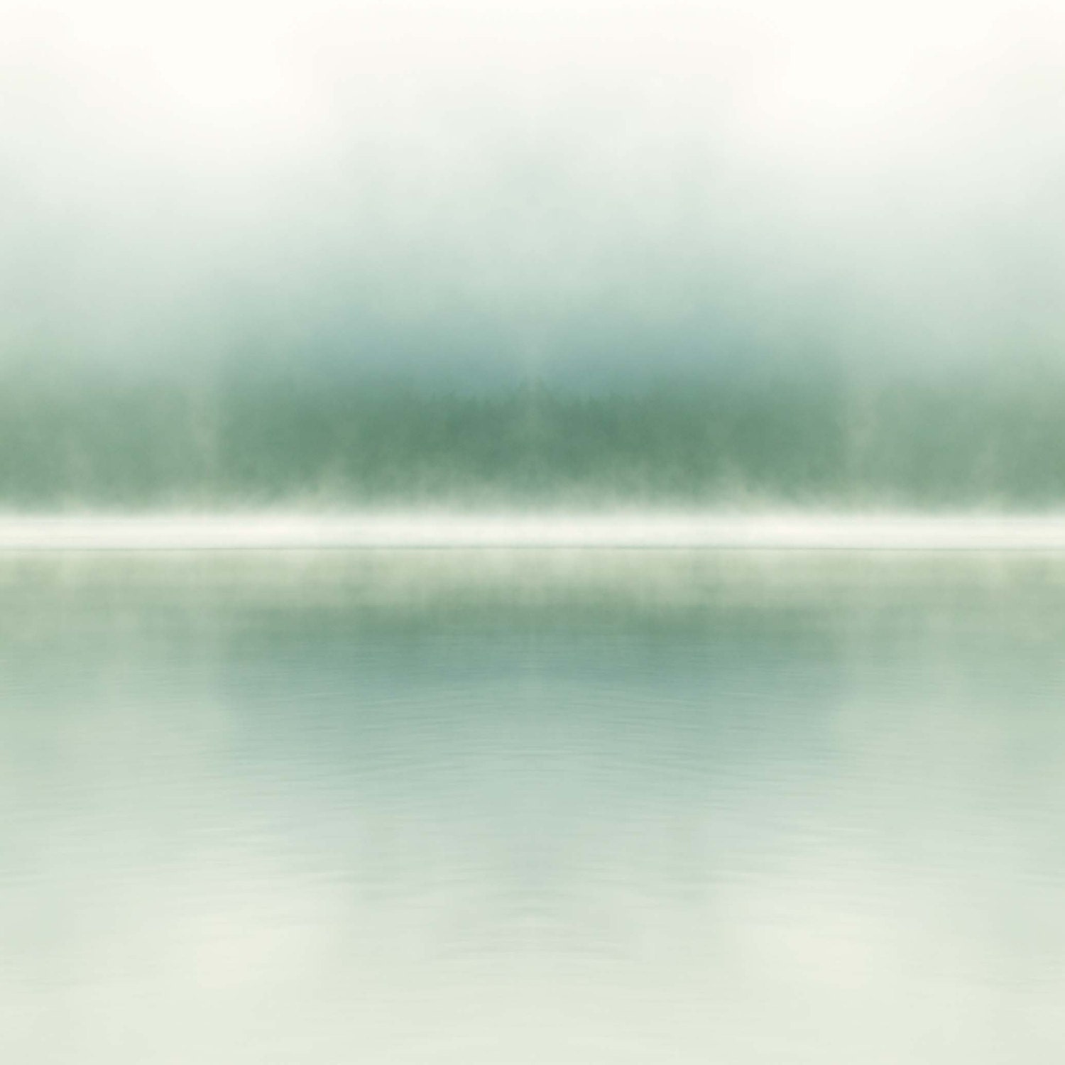 Reflective. Colour photograph 5x5. Printed by a professional photographic printer and sent direct to your address.