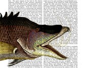 Great Hog Fish Print: Digital Illustration Giclee Art Print Mixed Media Fishing Fishermans Gift Vintage wall art wall decor Wall Hanging