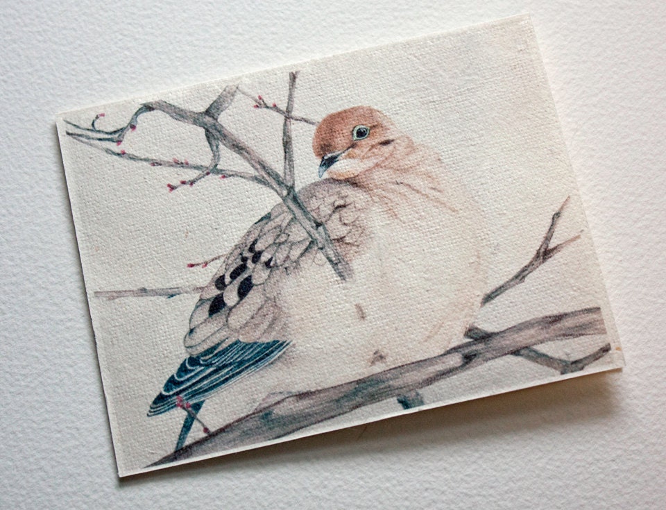 Mourning Dove Notecards