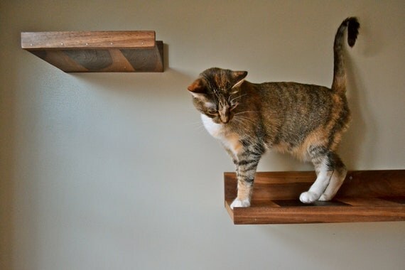 Pet Furniture