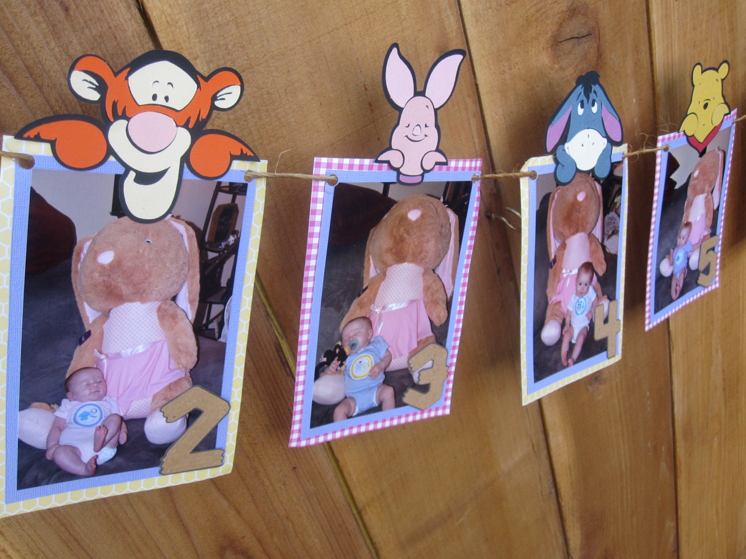 Pink and Purple Winnie the Pooh 12 Month Photo Banner