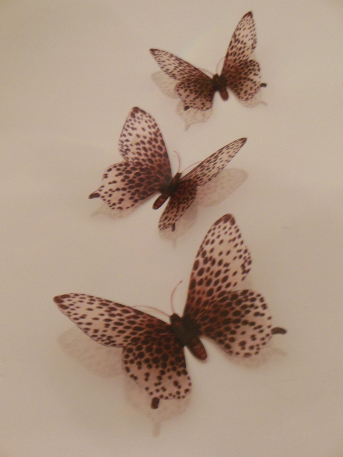 3 Luxury Amazing in Flight Cheetah Print Butterflies 3D  Butterfly Wall Art