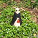Lucilla is an art doll, a little firefly made of Italian Apennines natural wool and natural fabrics