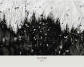 Free Shipping U.K - - - Nature Collection Photography - Calendar 2013 - Includes U.K Holidays
