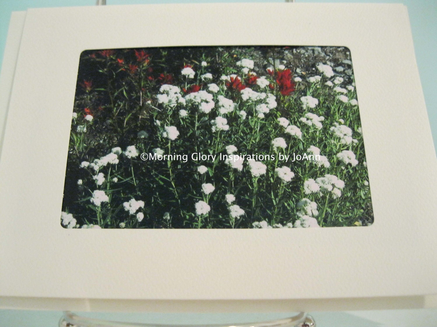 Mt Rainer Wildflowers Photo No 5 Blank Greeting Card, Mt Rainer, Wildflowers, Mountain, Flowers, Flower Photo, Mountainside, WA
