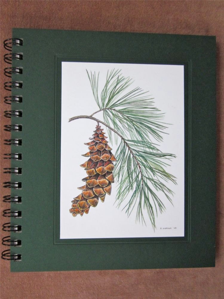 Large Journal -  White Pine Recycled Spiral Bound Journal, Lined for the Writer or Unlined Artist Sketchbook