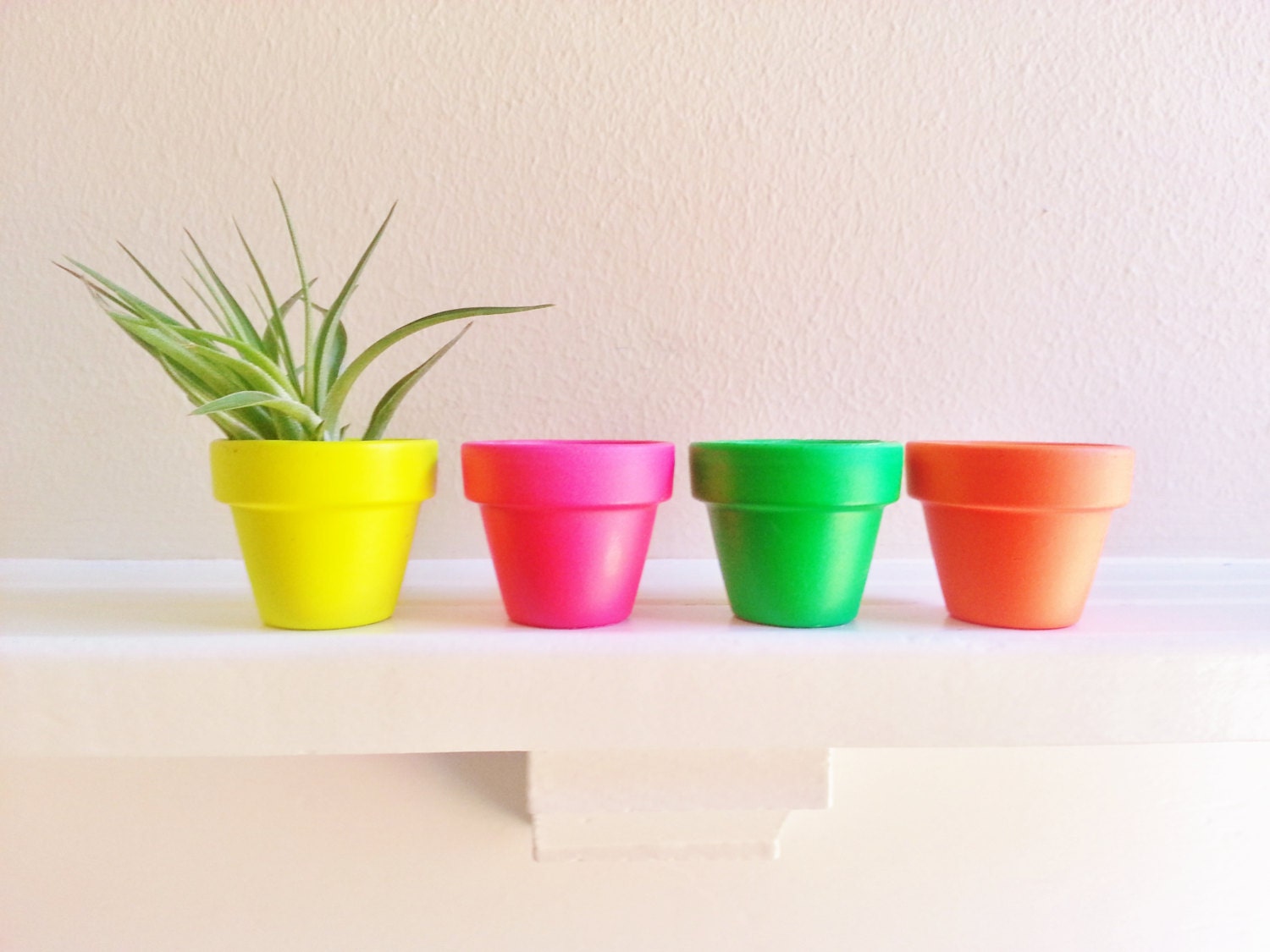 Neon Mini Planters set of 4,herb garden pots, Tillandsia planter, Flower sculpture display
