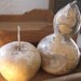 Birdhouse Gourd and Apple Gourd Dried