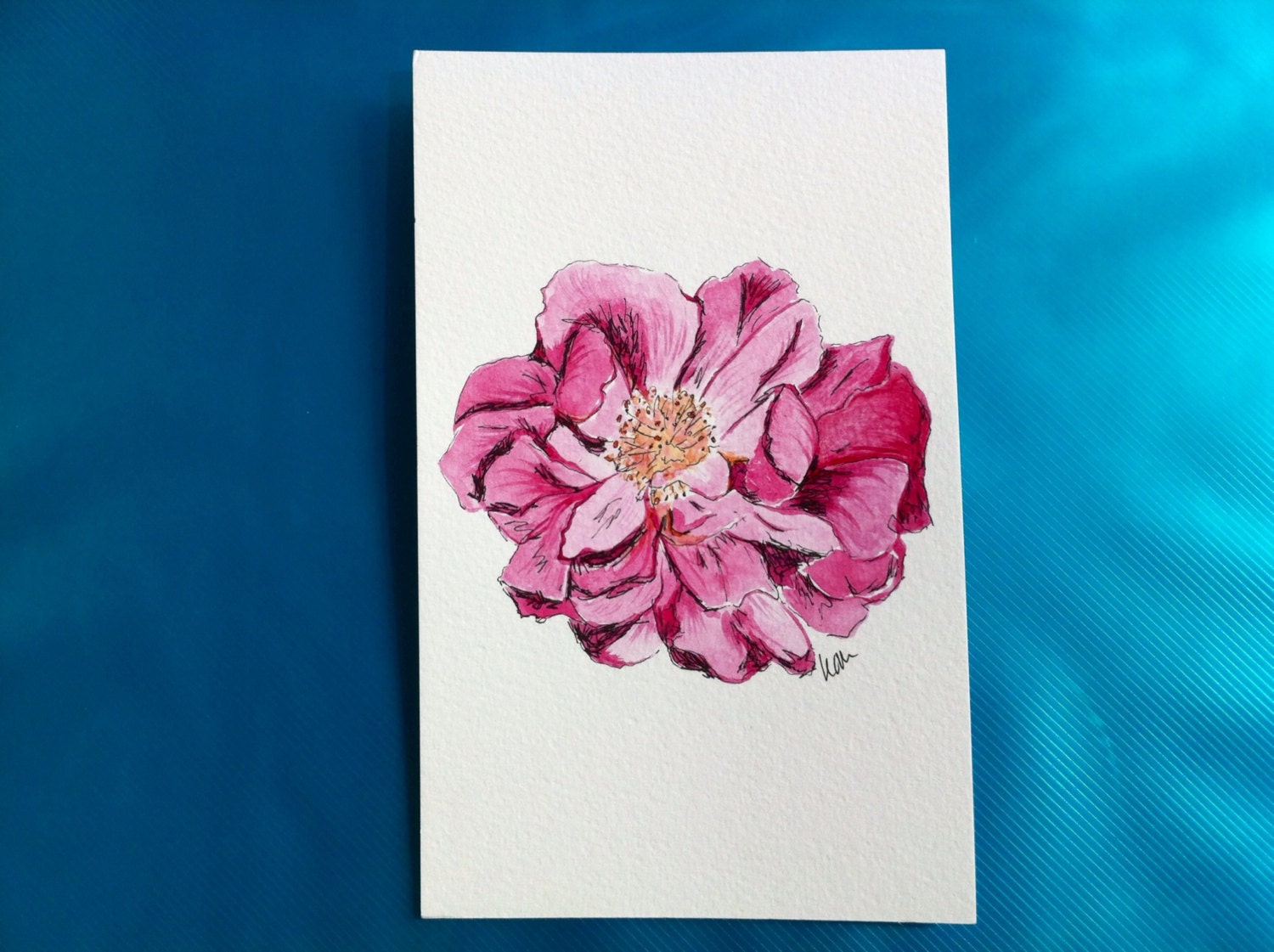 Bloomed - Pink Rose Watercolour & Ink - Original Painting