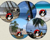 Pirate Baby stickers / printable cupcake toppers / penguin party circles / gift tag, favor tag, labels beach sea baby bodysuit children Il_170x135