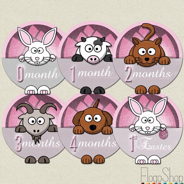 Baby month milestone stickers / scrapbook stickers / printable bodysuit circles / newborn, kids, girls, boys / pink grey Il_570xn
