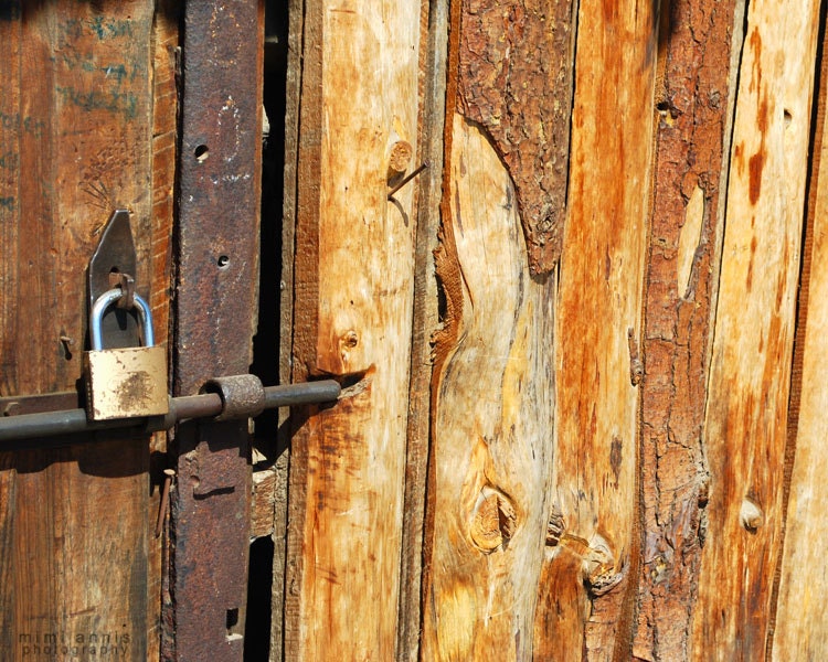 Wooden Fence Gate, Fine Art Print, 8x10, Rustic Home Decor, Shabby Chic Photography