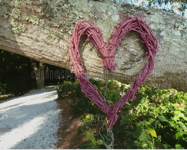 Loving, Nature Photography, Tree, Heart, Valentine, I Love You, Rustic Home Decor, Pink, Endless, Fine Art Print 8x10 - Follow That Path