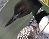 Common Loon, Sound Card, Handmade, Made In USA, Spring Trends, Undiscovered, New, Speacial, Beautiful, Feminine