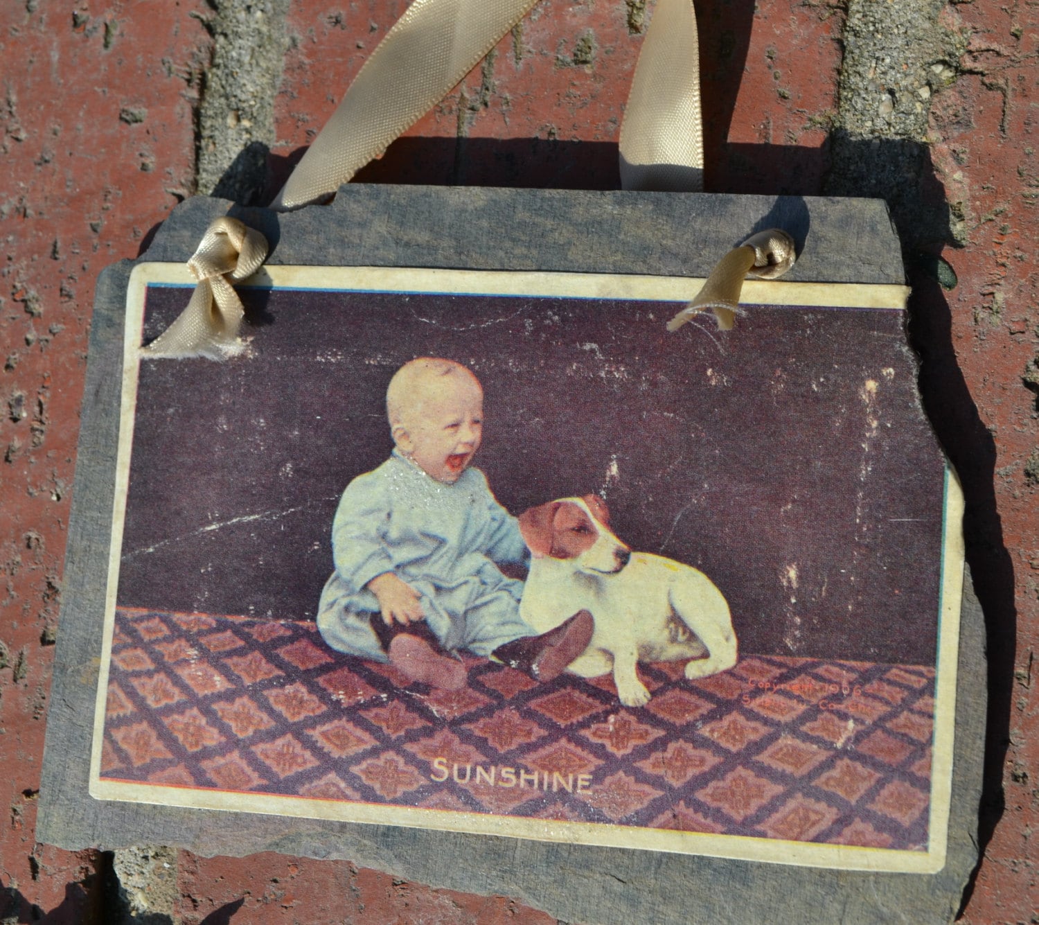 Baby and Jack Russell