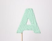 Initial Cake Topper, Customized Cake Topper, Party Decorations, Polymer Clay Cake Topper, Wedding Cake Topper