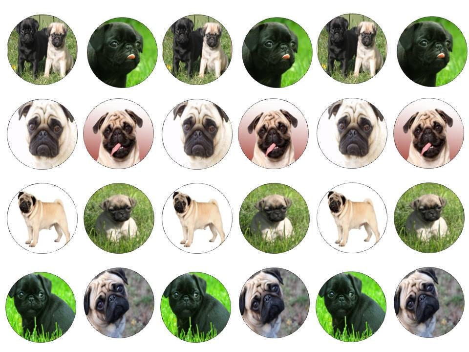 Pug Dog Cake/Cookie Edible Toppers
