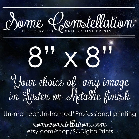 8 X 8 Print, Any Image, Luster or Metallic Finish