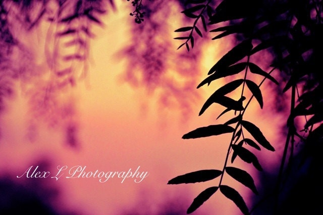 Tree Photography - tree wall art - pink yellow blue spring autumn art prints floral decor fine art - 8x10 Photograph