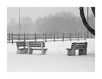 Park Benches In The Snow Winter Scene Note Cards (8)