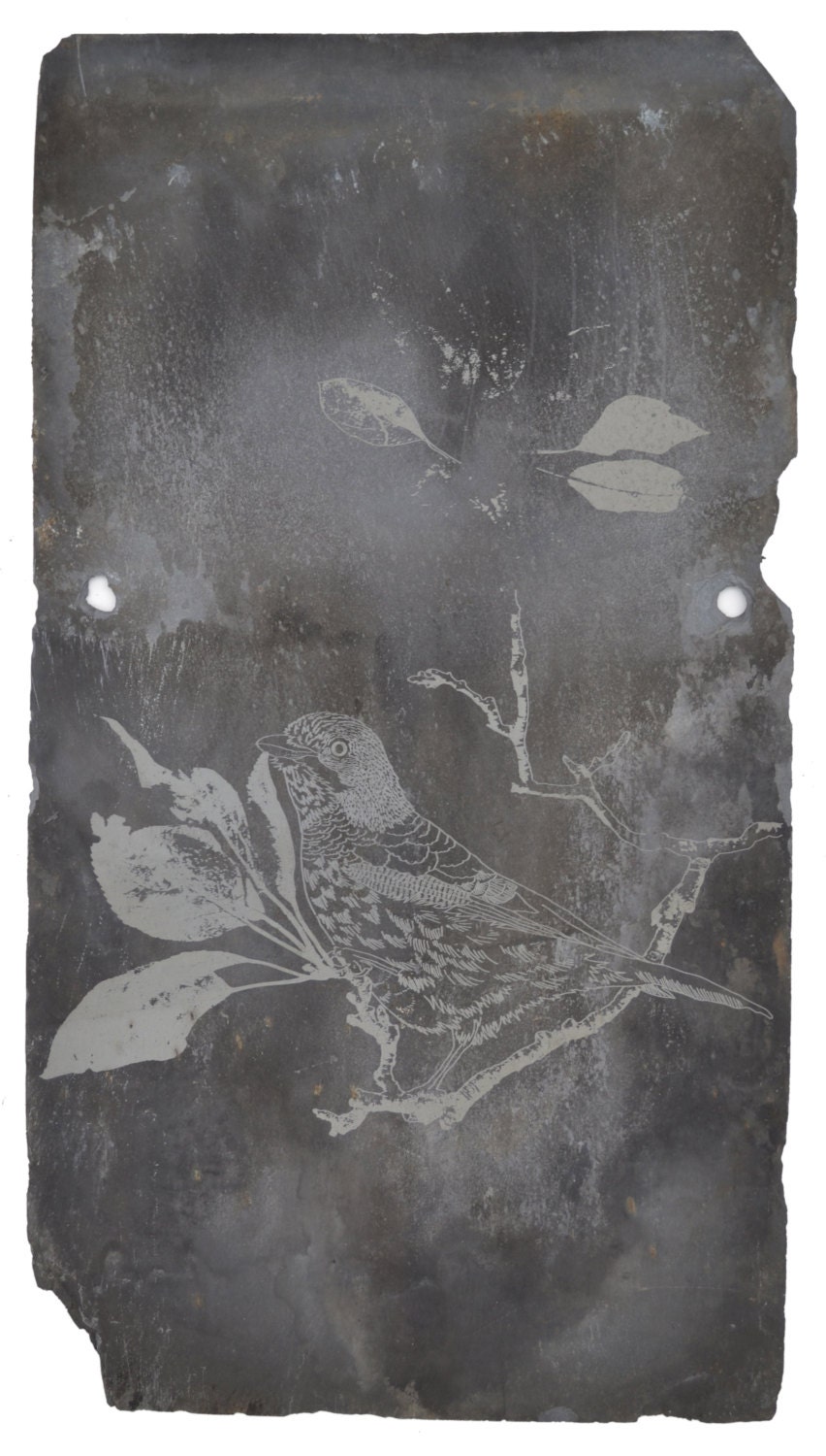 Etched Reclaimed Welsh Roof Slate- Sitting Jay Design.