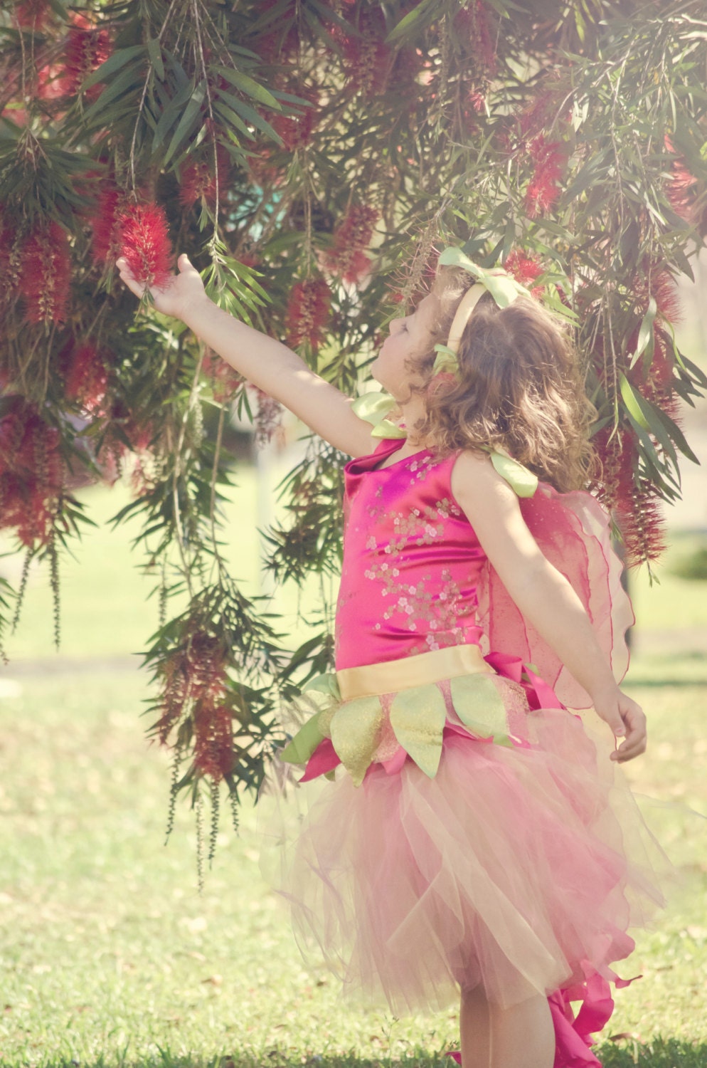Pretty In Pink Fairy, Dress Up, Halloween, Little Girl, Photography, Tutu skirt, Fantasy Birthdays.