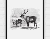 Sketch of An Elk in Nature - Printable Poster - Digital Art, Download and Print JPG