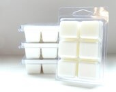 Fruit Slices Candle Clamshell Soy Tart Melt Dye Free
