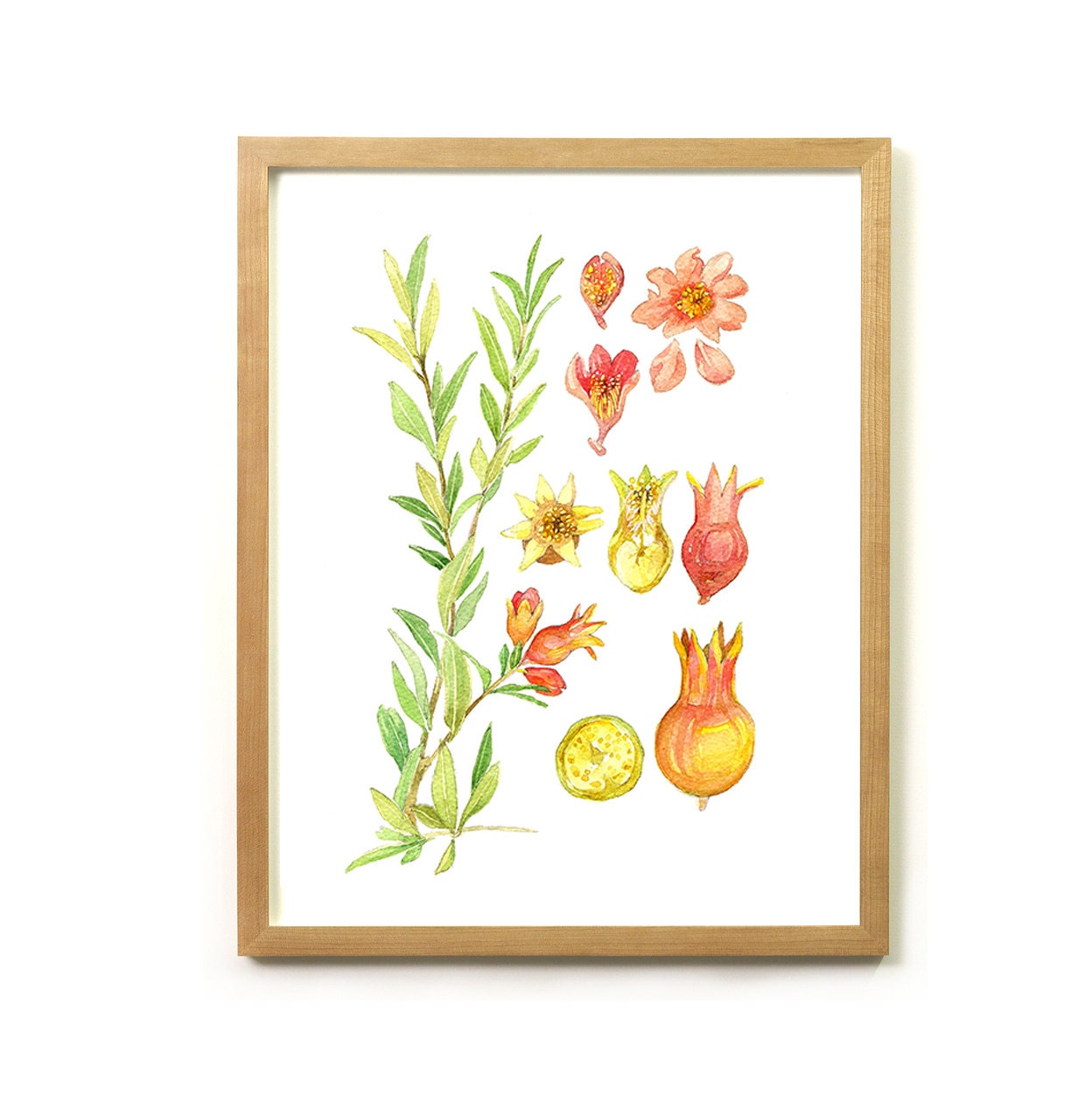 Pomegranate Botanical Floral Print Illustration Watercolor Garden Spring Home Decor Peach Red Yellow Green Handmade Punica Granatum