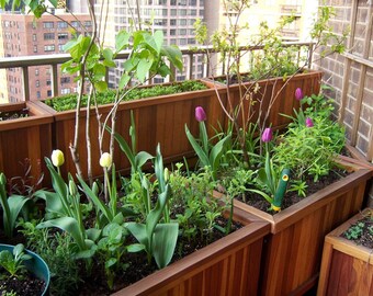 Containers & Planters