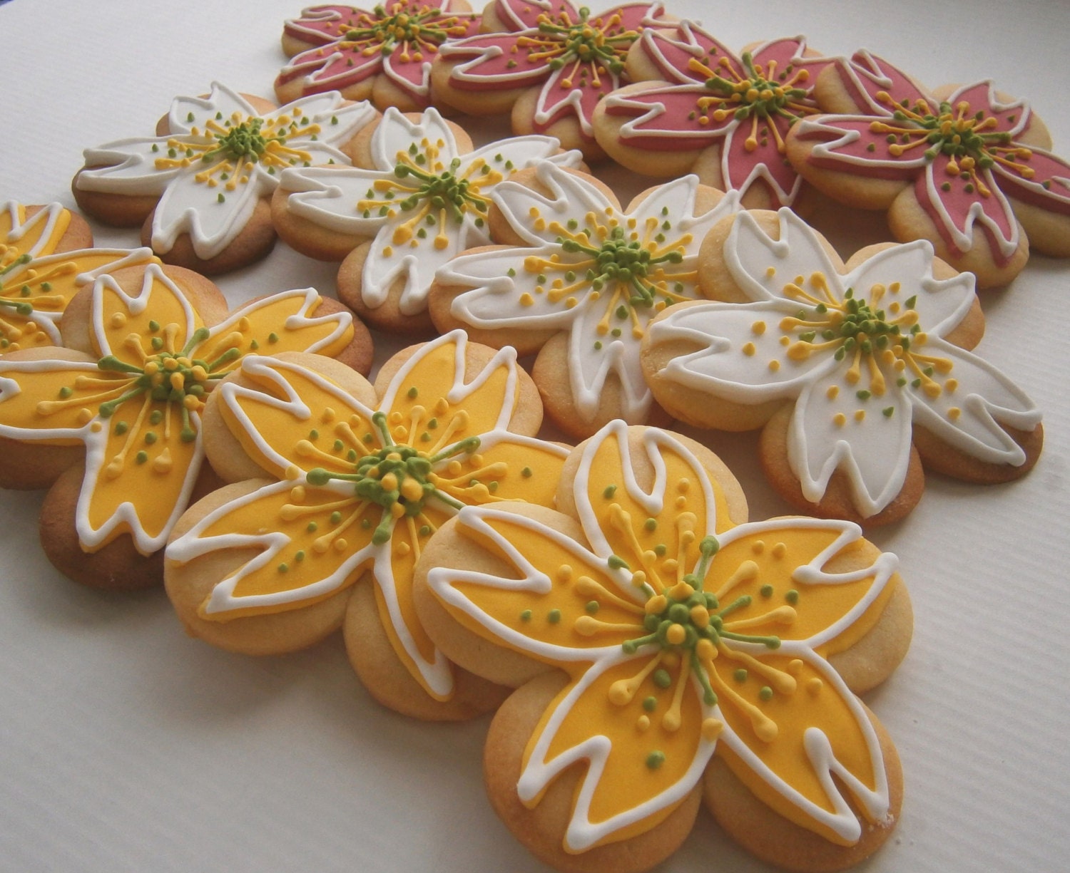cherry blossom spring white, yellow and pink  flower cookies