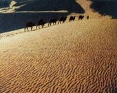 Desert (Silk Embroidery)