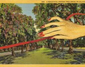 Original Collage Art California Postcard Art Surreal Paper Collage Hand Trees