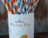 Aqua and Orange Paper Straws -- Set of 20 -- stripes and dots Il_170x135