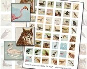 Antique Bird Digital Collage Sheet inchies 25mm 1x1 1" inch square