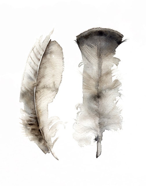 Turkey Feathers Large print