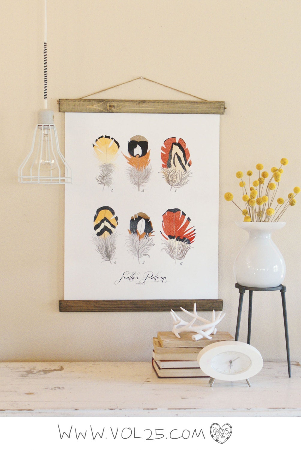 Vintage Inspired Science Posters - FEATHER PATTERNS VOL. 3