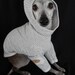 Micro Dot Striped Italian Greyhound Natural Cotton Hoodie-medium custom made 11-15