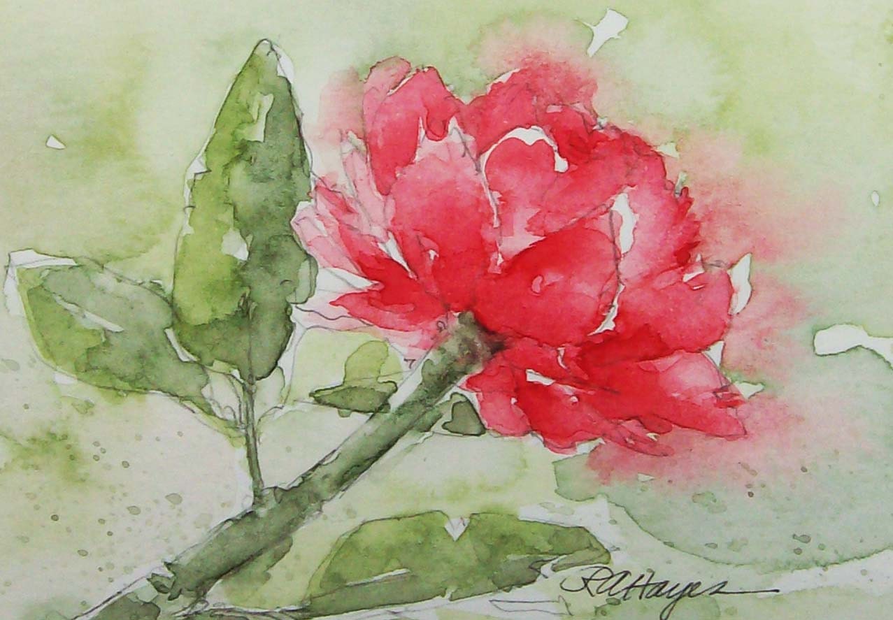 Peony Watercolor Painting Floral Original ACEO Flower