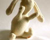 White Wool Rabbit