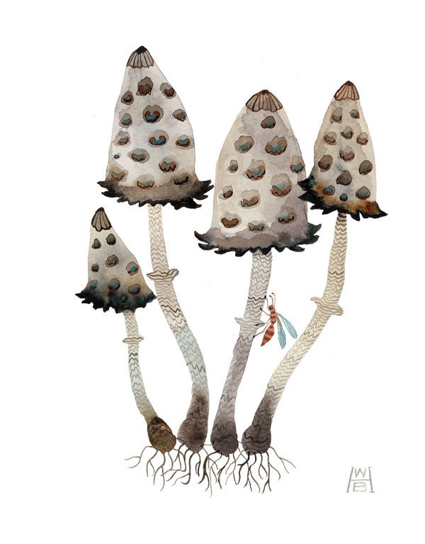 shaggy ink spots mushroom original watercolor painting