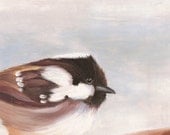 Coal Tit Print - Garden Bird Nature Reproduction from Original Oil Painting - 8x10 - Great Gift
