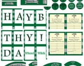 Slytherin/Harry Potter Inspire/Snake Green, Silver Theme Birthday Party Pack-House Green Witch, Wizard, boy, girl- Digital